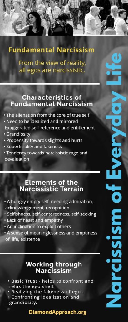 Narcissism Infographic