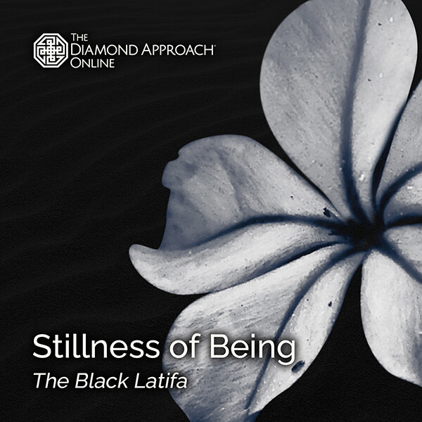 Stillness of Being: The Black Latifa