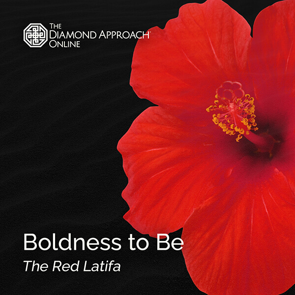 Boldness to Be: The Red Latifa