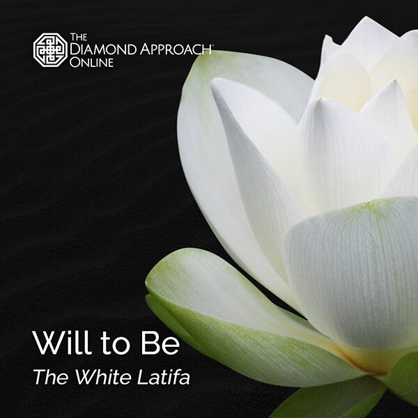 Will to Be: The White Latifa