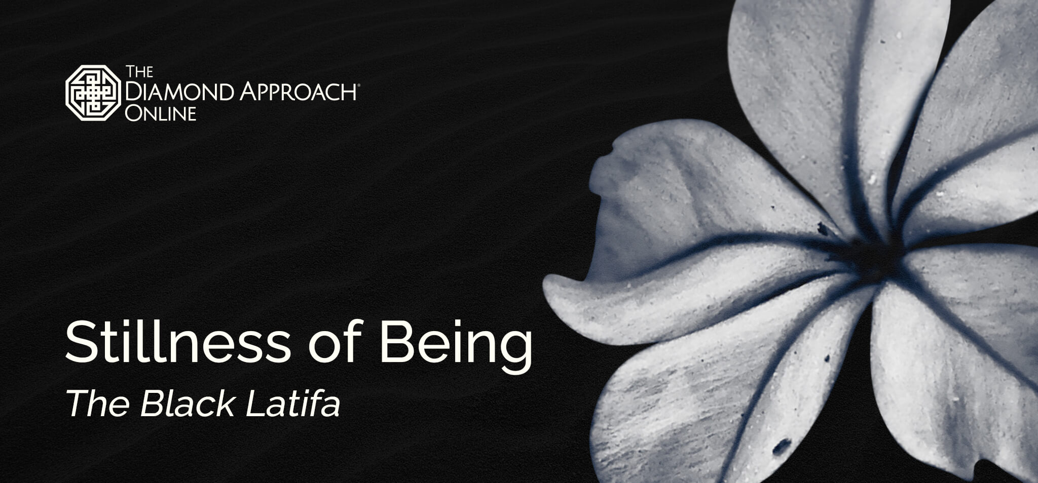 Stillness of Being: The Black Latifa