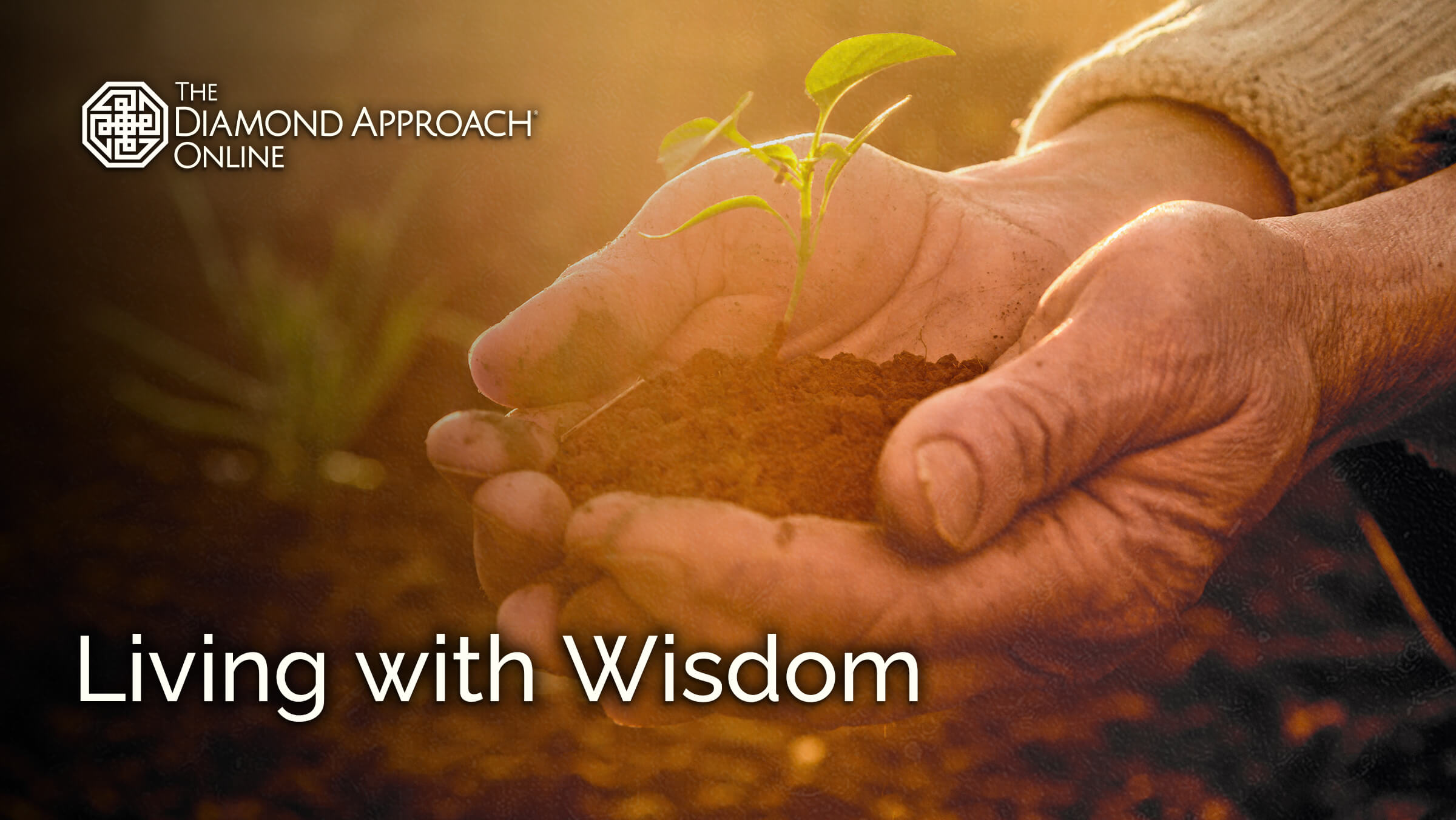 Living with Wisdom Series