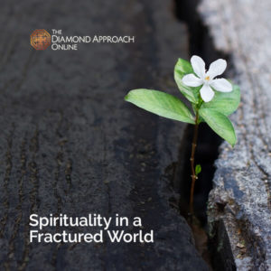 Spirituality in a Fractured World