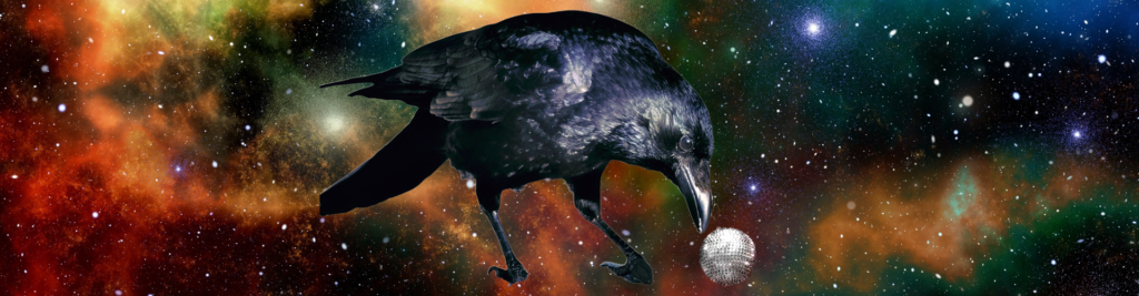 curious crow cosmos