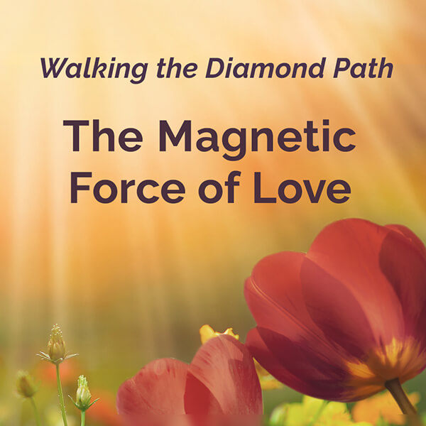 magnetic force of love